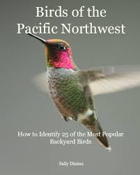 Birds Of Western Washington Identification Birds Of The Pacific Northwest How To Identify 25 Of The Most Popular Backyard Birds Now Also On Etsy Instant Downl Backyard Birds Birds Pacific Northwest