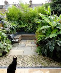 Choose natural materials for the structural elements of your garden rather than hard landscaping that would look out of place in a tropical setting. 10 Tips For Creating A Tropical Garden In A Uk Climate