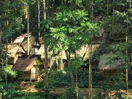 Bahkan perubahan tersebut dapat berdampak langsung dan mempengaruhi perubahan di satu tempat ke. Suku Baduy Bersinergi Dengan Alam Menjaga Aturan Adat Indonesia Kaya