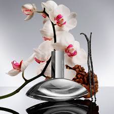 mejores perfumes calvin klein mujeres