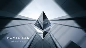 Vitalik began writing for bitcoin magazine and suggested improvements to the bitcoin platform.when these improvements weren't made, he decided to make his own cryptocurrency instead. 10 Must Known Facts About Ethereum Eth Bryan