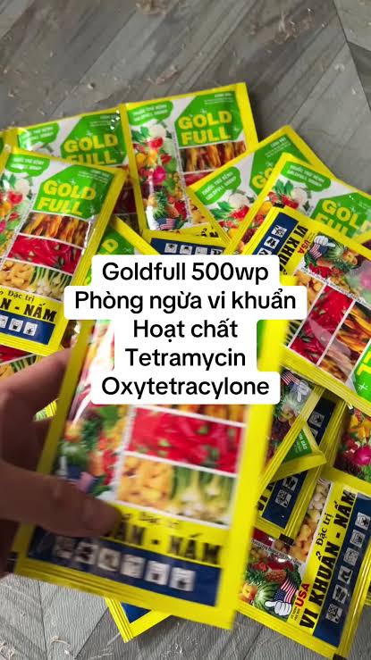 Goldfull 500WP