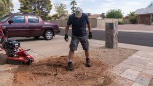 Search for removal of tree roots. How To Remove A Palm Tree Stump Az Diy Guy
