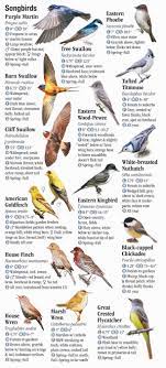Check spelling or type a new query. Birds Of Illinois Quick Reference Publishing