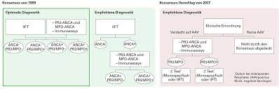 Leitlinien Zur Diagnostik Und Therapie Der Anca Assoziierten Vaskulitiden Euroimmunblog