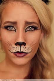 diy cat makeup tutorials for