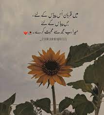 Pin By Eshal Khan On Alfaaz Poetry Wallpaper Urdu Thoughts Urdu Quotes