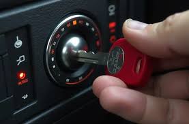 Image result for Muhurraq 2012 Cygnet