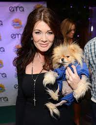 Pomeranians pikachu and pink dog. Lisa Vanderpump S Dog Giggy Flown Home In Oxygen Chamber Following Health Scare Exclusive Entertainment Tonight