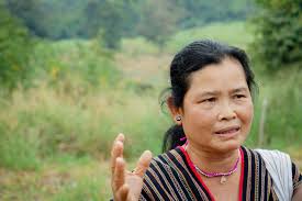 As Thai forest aims for UNESCO status, Karen community pushed to the margins