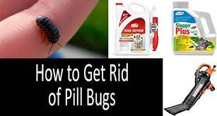 They live under rocks, logs, mulch, wood chips and all around the home where it is damp, dark and moist. How To Get Rid Of Pill Bugs In The House Garden 2021 Buyer S Guide