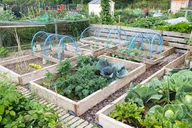 Crop Rotation Tips For Vegetable Gardens Old Farmers Almanac