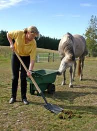 Horse Manure An Easy Guide To Composting Horse Manure Manure Horse Manure Composting