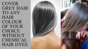 Natural Hair Color To Cover Gray Best Natural Hair Color For Grey Check More At Http Frenzyhairstudio Com Natural Hair Color To Cover Gray