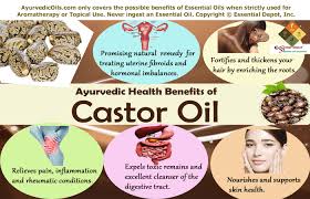 Ortho dial n spray hose end sprayer: Chemical Constituents Of Castor Oil Essential Oil