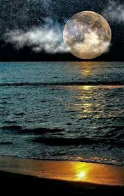 Around the full moon, the moon usually rises and sets during the golden hour, when colors are particularly rich. Pin By On Krasivye Pejzazhi Beautiful Moon Moon Photography Moon Pictures