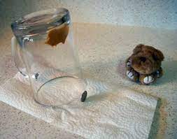 The Simplest Mouse Trap You Ll Ever Make Mouse Traps Mouse Trap Diy Glass Jars