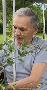 Obituary for Manuel Solá