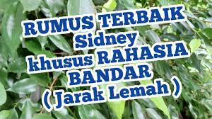 We did not find results for: Rumus Sydney Terbaik Jarak Lemah Rahasia Bandar Youtube