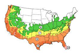 There are more than 200 species of magnolia native to temperate, subtropical and tropical areas of southeastern asia, eastern north america, central america, the caribbean and parts of south america. Southern Magnolia Tree On The Tree Guide At Arborday Org