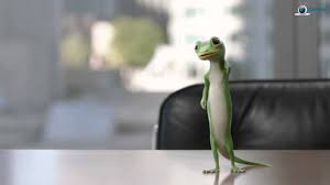 Nowadays green (and brown, the other female character) occasionally slips into a pair of heels too — the strap of her shoes appears to hide the lack of ankle. Funny M M S And Geico Combine Commercial Ms Brown The Gecko Camel Youtube