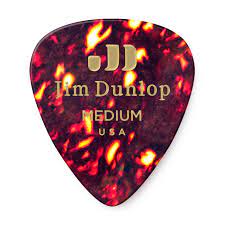 Which brand has the largest assortment of pickaxes at the home depot? Dunlop Shell Pick Medium One Pick