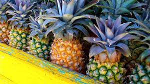 Antigua black is the world's sweetest pineapple, grown primarily on the southwest coast of the island. Cades Bay Agricultural Station Visit Antigua Barbuda