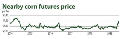 Corn Prices Soar As U S D A Slashes Crop Forecast 2019 06