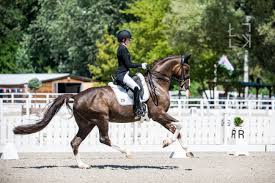 Besonders oft ist dies in leichenpredigten auf ärzte und apotheker der fall. Spitzensportlerinnen Von Morgen Dressurreiterin Anna Middelberg