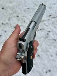 Image result for Grace Silver 1989 Colt