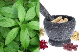 Tanaman bunga merupakan salah satu makhluk hidup yang memiliki rupa yang cantik, dan sebagian. 7 Manfaat Daun Dewa Dan Cara Mengolahnya Bisa Anda Coba Di Rumah Semua Halaman Intisari