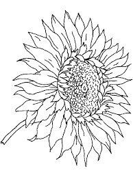 If you follow my blog regularly, you'll notice that some time ago i published a post about flowers coloring pages. Mandala Coloring Sunflower Coloring Pages For Adults Novocom Top