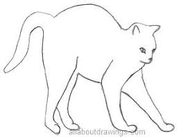 How To Draw A Realistic Cat Face Easy Howto Techno Then i taught him how to draw a cat. how to draw a realistic cat face easy