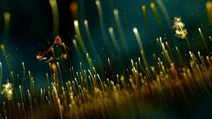 Red Giant Trapcode Particular V4 1 5 Mac Torrents Trapcode's peder norrby shows how you can create a seamless loop with trapcode mir using if you haven't checked it out yet, there is a public beta available for trapcode mir where you can. red giant trapcode particular v4 1 5