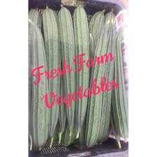 We did not find results for: Loofah Luffa Sayur Petola 500g Shopee Malaysia
