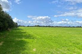 Temp Head | Independent.ie