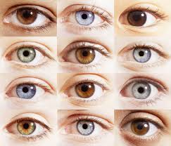 If You Have Blue Eyes They Re Actually Brown And You Just Don T Realise It Eye Color Chart Shades Of Brown Eyes Eye Color