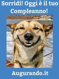 Buffi Buon Compleanno Cani