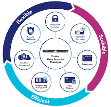 Tags ~1 hr 50 mins. Vormetric Data Security Platform Thales