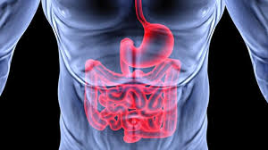 Wenn eine gastritis vorlag, so ist diese womöglich noch nicht ausgeheilt, sodaß eine erneute magenspiegelung nicht unter allen umständen ausgeschlossen werden sollte, wenn dies auch nicht vorrangig erscheint. Wie Gross Ist Der Schlauch Bei Der Magenspiegelung