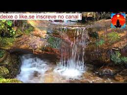 Relaxar e acalmar a mente com música relaxante e vídeo hd do fundo do mar e rios, música para relaxar e som de água para eliminar o estresse e atingir a paz. Pin Em Musicas Relaxantes Para Meditacao