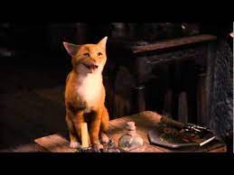 katze lacht xd youtube