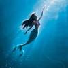 Anniversary edition, an animation movie starring jodi benson. Https Encrypted Tbn0 Gstatic Com Images Q Tbn And9gcqahfkmj6t93qy381ffdmyjlh28uk5e7enosd2kci1xh62dxg6c Usqp Cau