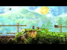 Resultado de imagem para braiD GAME PC