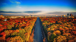 Wallpaper 4k Highway Through Autumn Forest 4k Autumn Wallpapers Forest Wallpapers Hd Wallpapers Highway Wallpapers Nature Wallpapers Download, share or upload your own one! wallpaper 4k highway through autumn