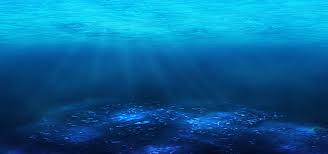 We offer an extraordinary number of hd images that will instantly freshen up your smartphone or computer. Light Blue Ocean Background Ocean Backgrounds Oceans Of The World Deep Sea Life