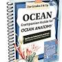 Ocean Anatomy: The Curious Parts & Pieces of the World Under the Sea from dailyskillbuilding.com
