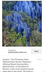 Tourism, hosts, tourists, sarawak mulu national park. The Gunung Mulu National Park Is A National Park In Miri Division Sarawak Malaysia Is A Unesco Gunung Mulu National Park Equatorial Rainforests Asia Travel