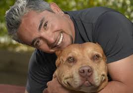 Daddy the 'pit bull' helped reshape perception of breed