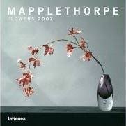 Check spelling or type a new query. Mapplethorpe Flowers 2007 Robert Mapplethorpe 9783832717865